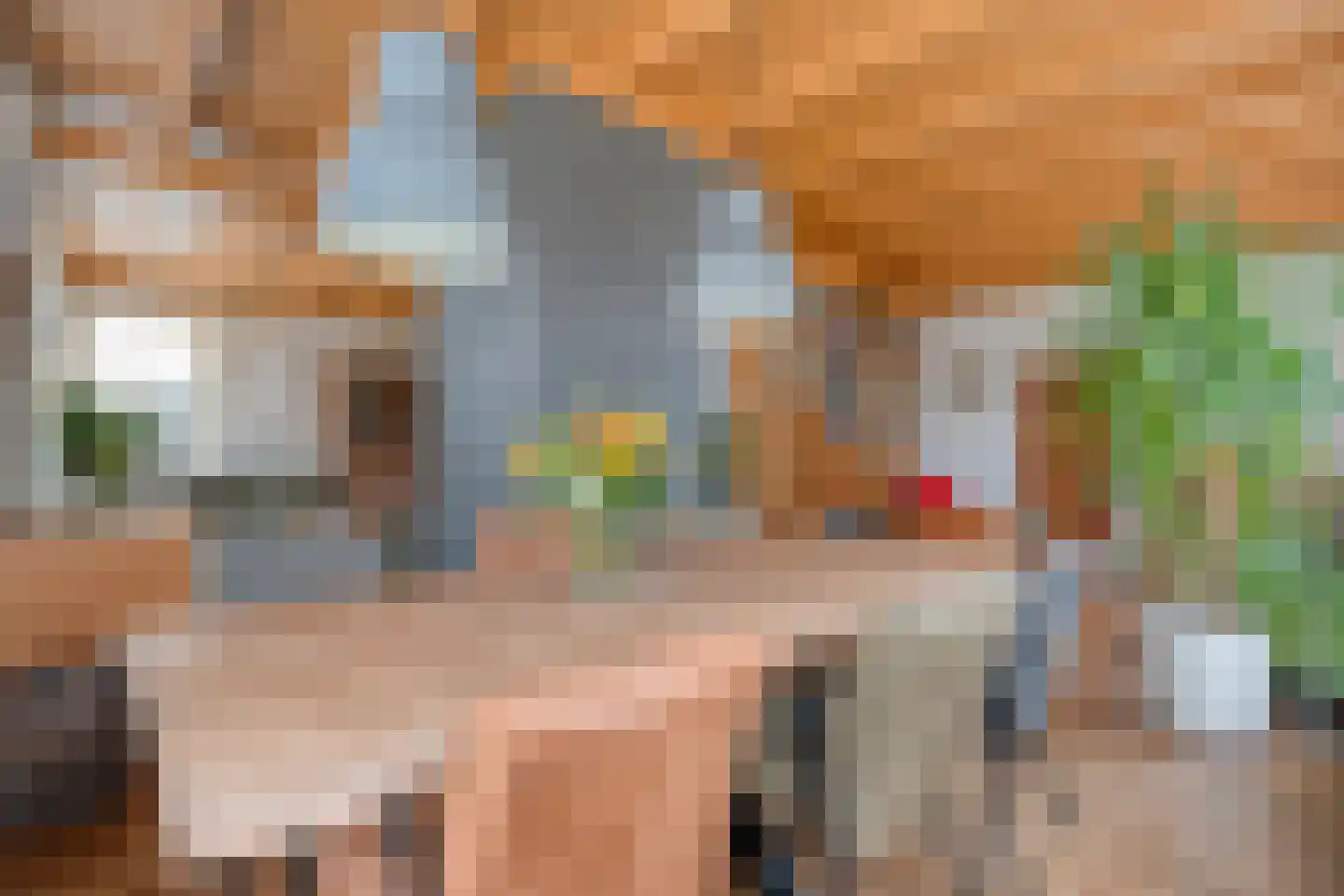 Heuvelenweg 4 Dwingeloo thumbnail 15