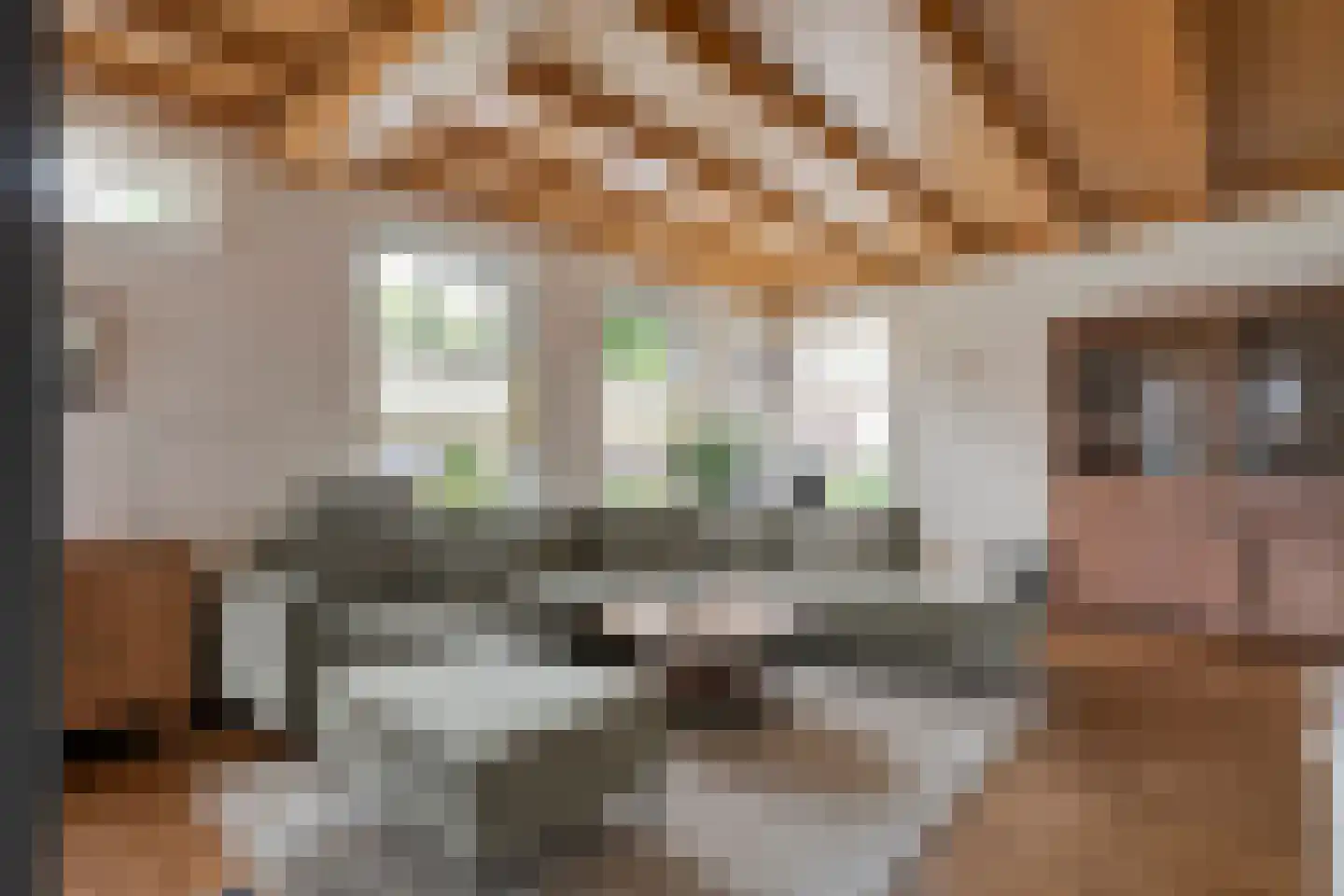 Heuvelenweg 4 Dwingeloo thumbnail 16