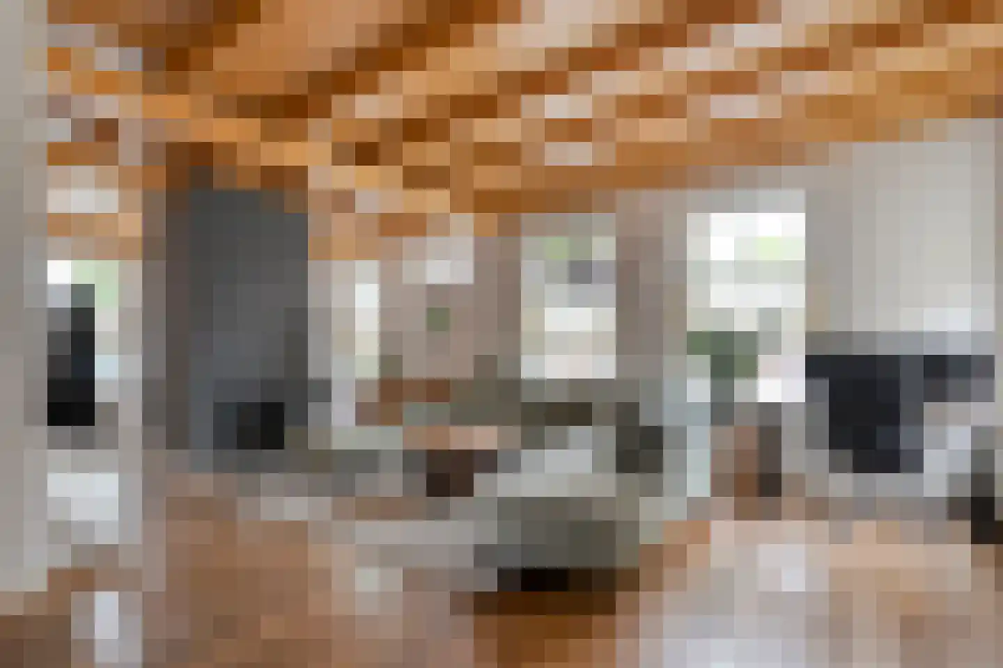 Heuvelenweg 4 Dwingeloo thumbnail 17