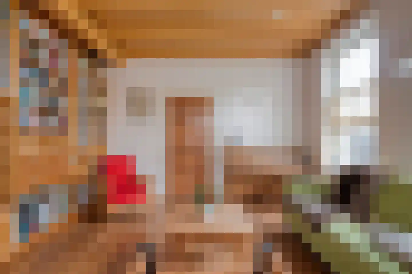 Heuvelenweg 4 Dwingeloo thumbnail 25