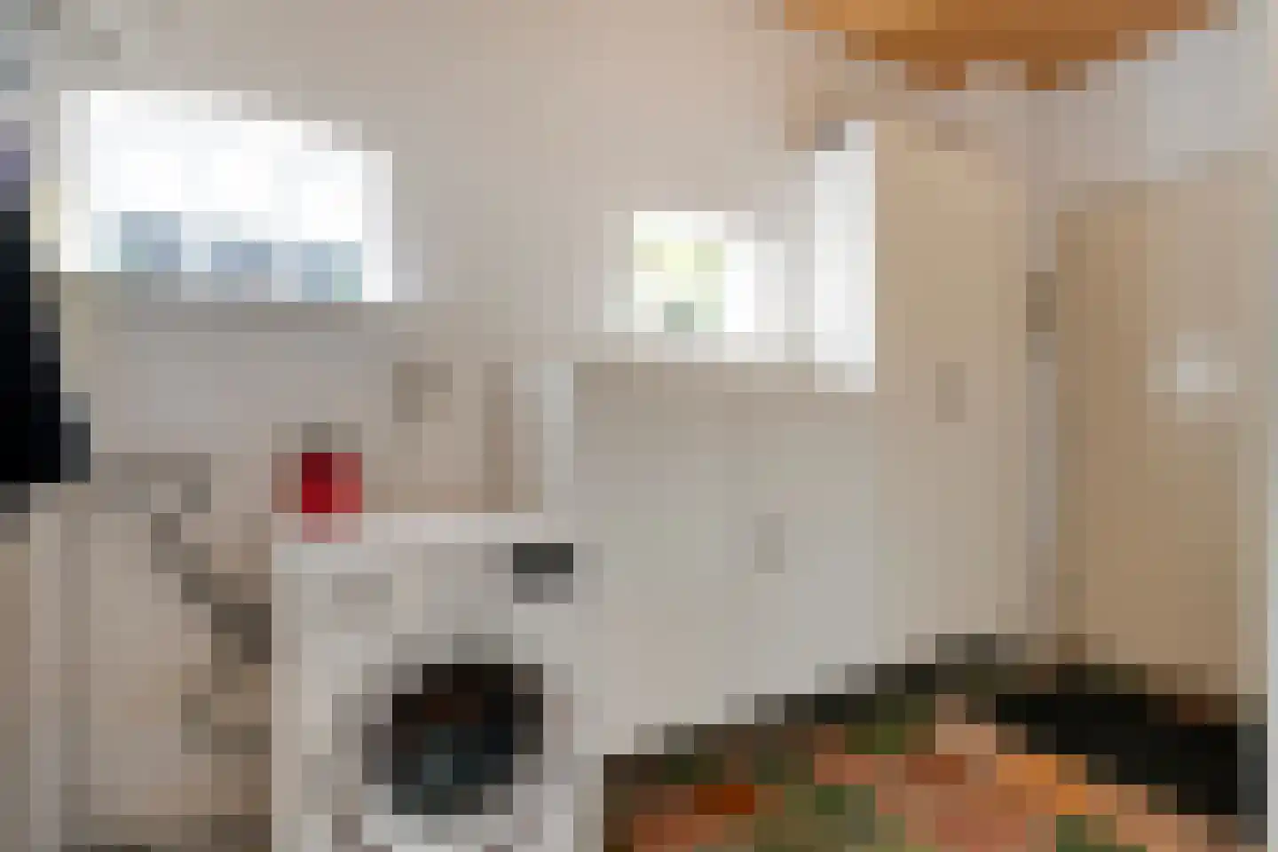 Heuvelenweg 4 Dwingeloo thumbnail 27