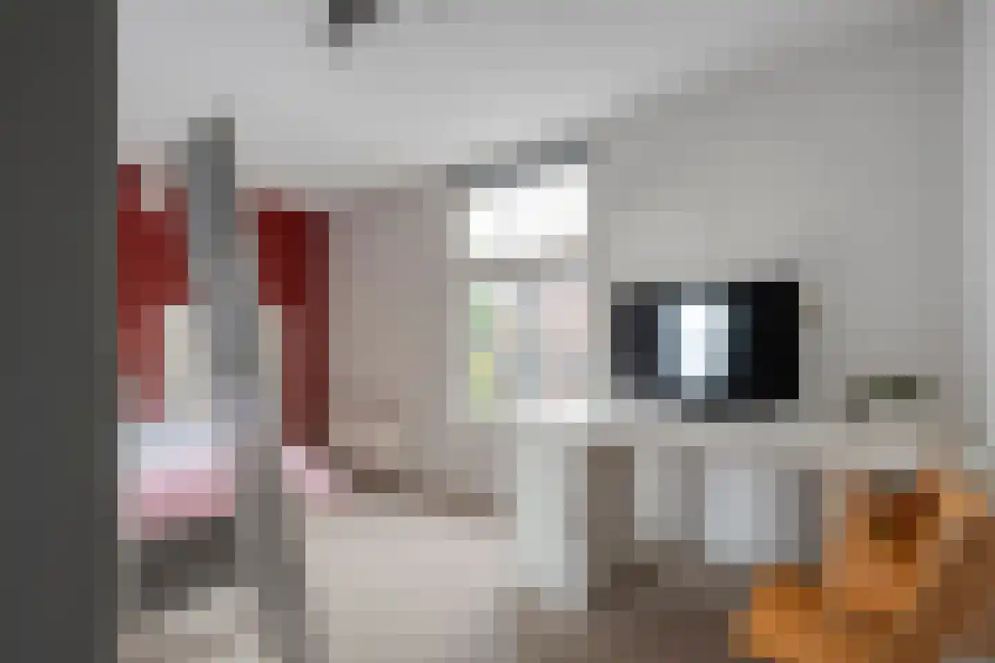 Heuvelenweg 4 Dwingeloo thumbnail 31