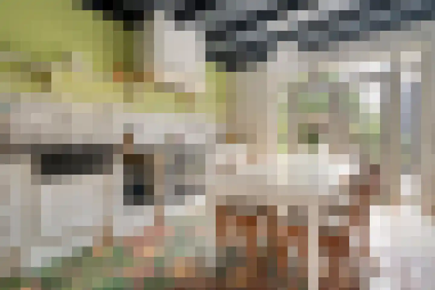 Heuvelenweg 4 Dwingeloo thumbnail 4