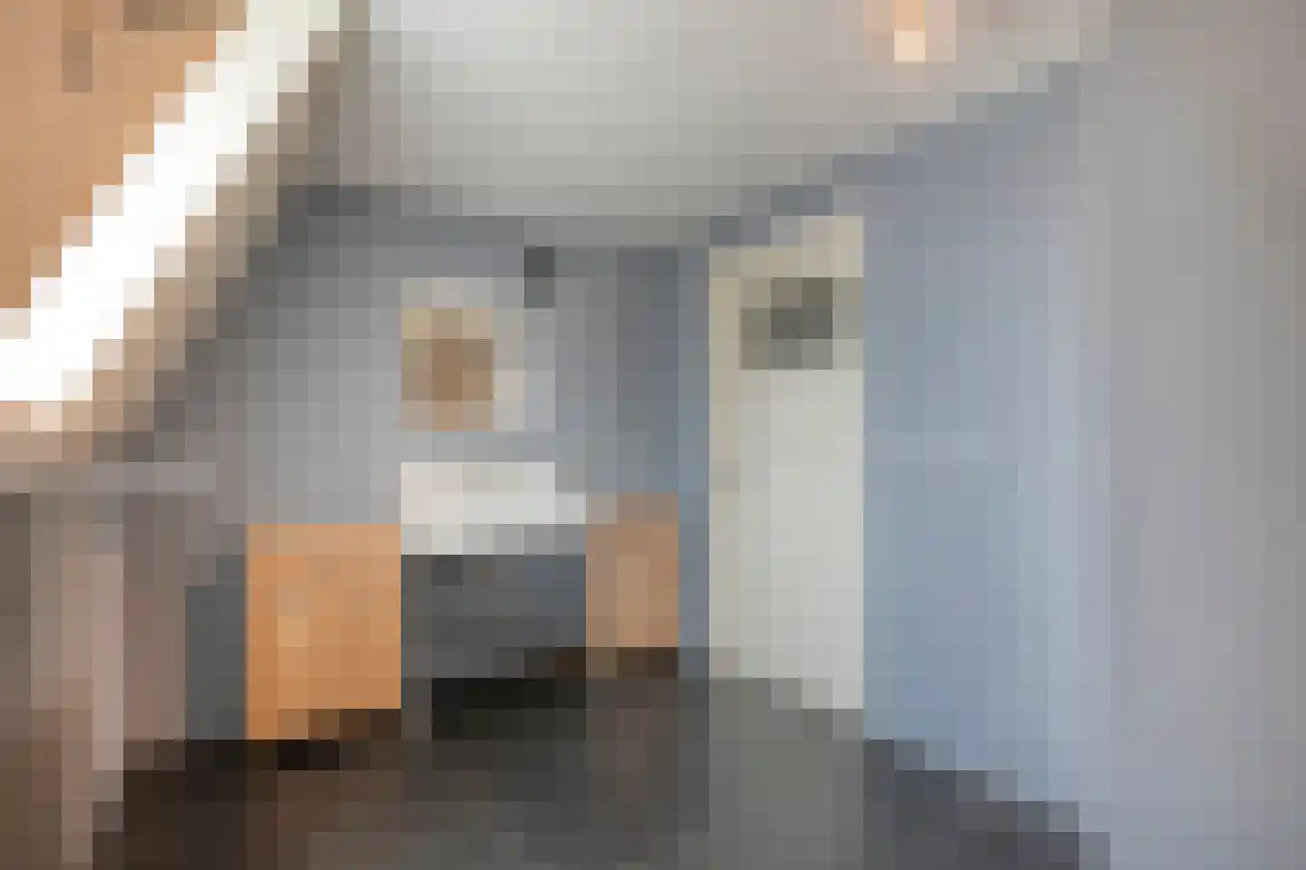 Heuvelenweg 4 Dwingeloo thumbnail 42