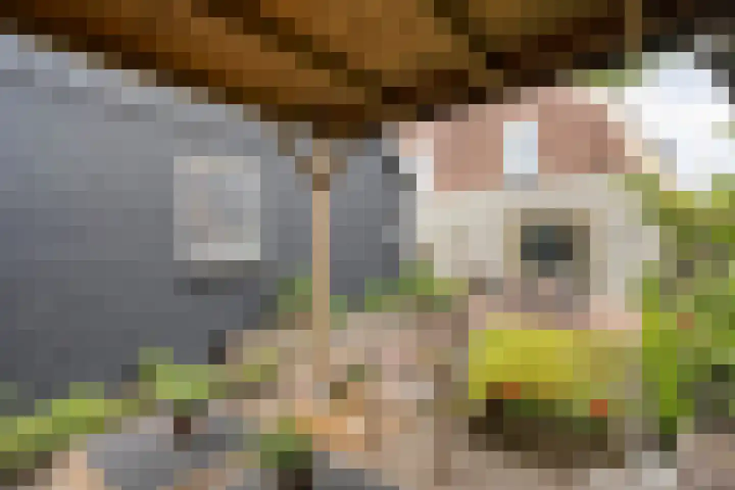 Heuvelenweg 4 Dwingeloo thumbnail 46