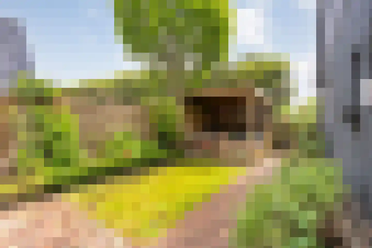Heuvelenweg 4 Dwingeloo thumbnail 47