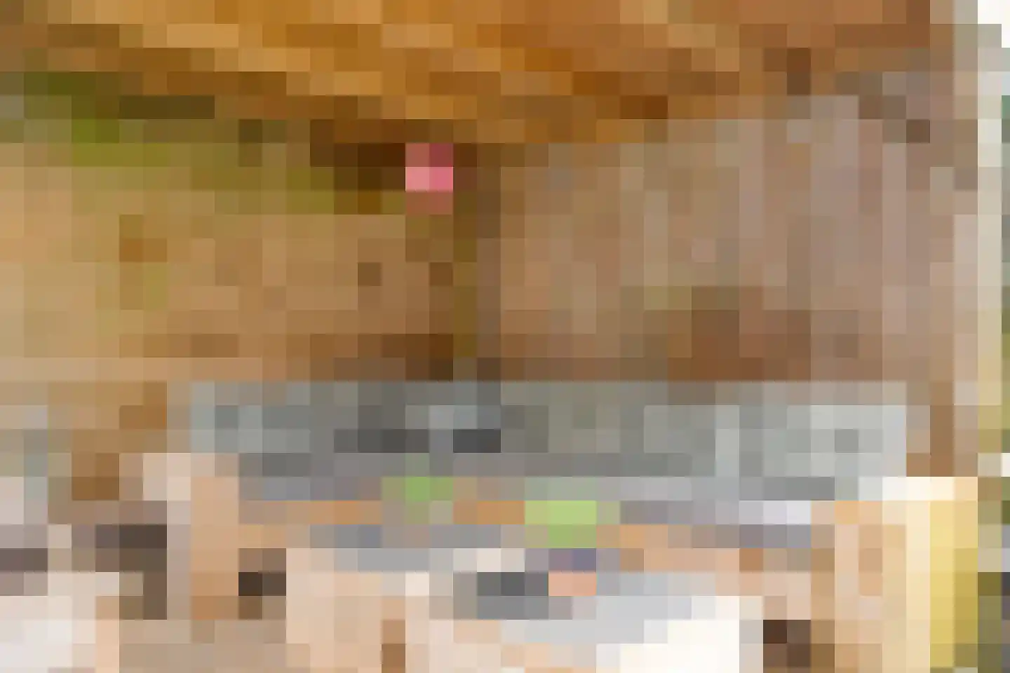 Heuvelenweg 4 Dwingeloo thumbnail 48