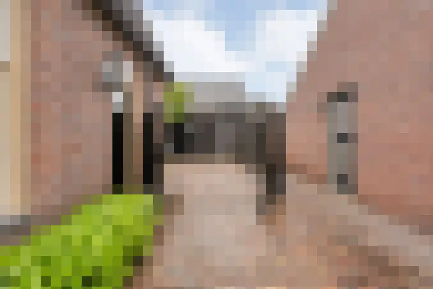 Heuvelenweg 4 Dwingeloo thumbnail 49