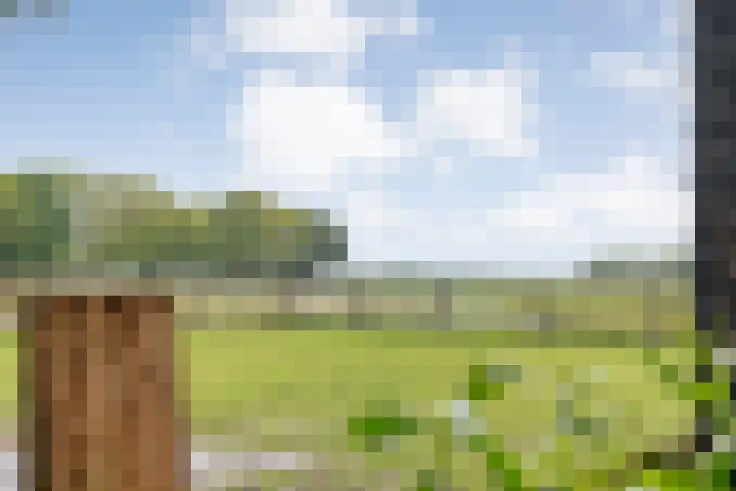 Heuvelenweg 4 Dwingeloo thumbnail 52