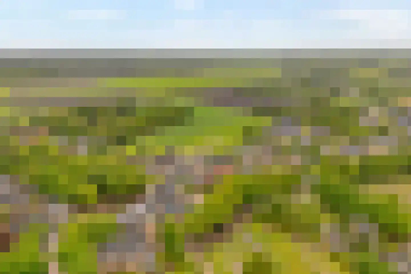 Heuvelenweg 4 Dwingeloo thumbnail 53