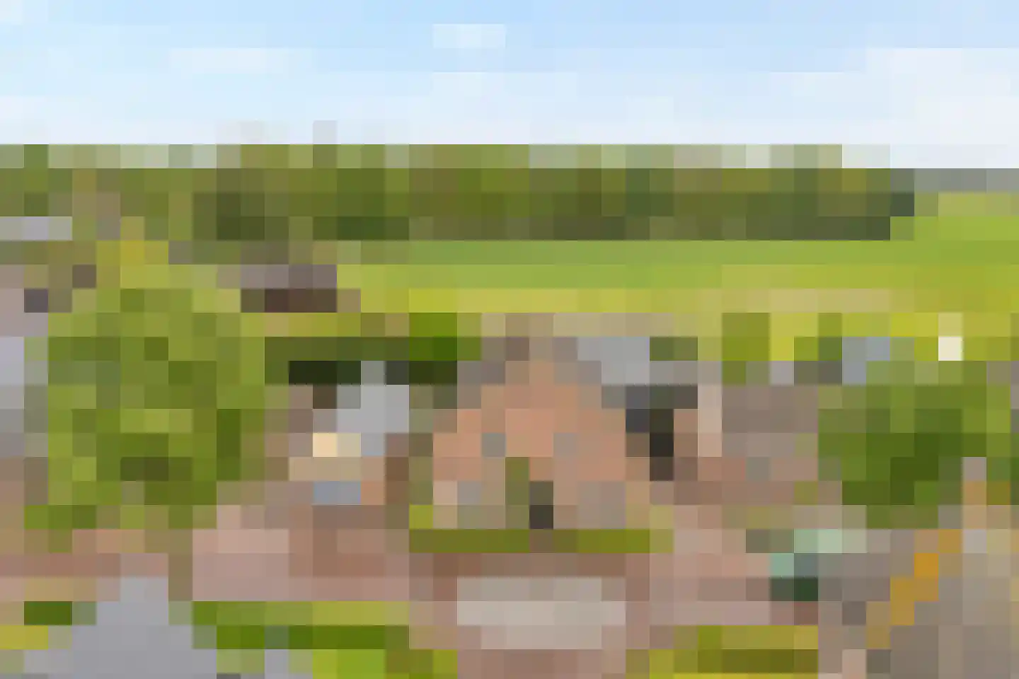 Heuvelenweg 4 Dwingeloo thumbnail 6