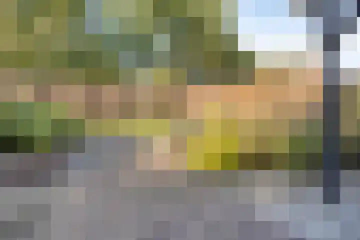 Heuvelenweg 44 a Dwingeloo thumbnail 33