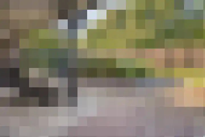 Heuvelenweg 44 a Dwingeloo thumbnail 4