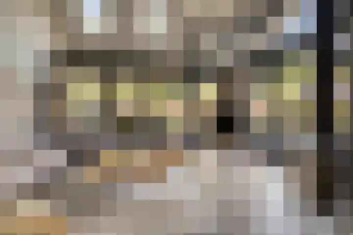 Heuvelenweg 44 a Dwingeloo thumbnail 6