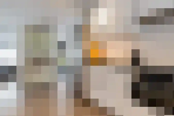Heuvelhof 13 Waddinxveen thumbnail 16