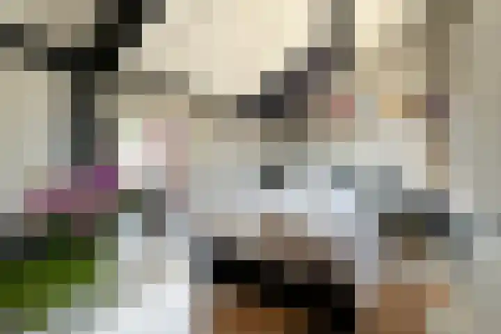 Heuvelhof 13 Waddinxveen thumbnail 28