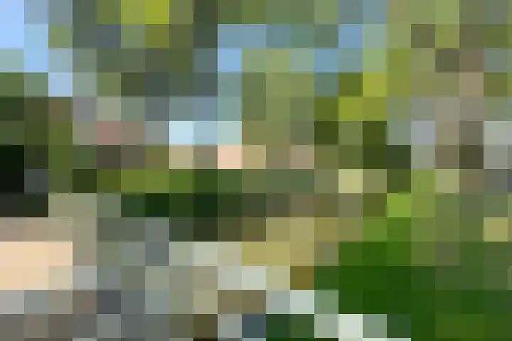 Heuvelhof 13 Waddinxveen thumbnail 41