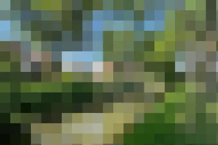Heuvelhof 13 Waddinxveen thumbnail 42