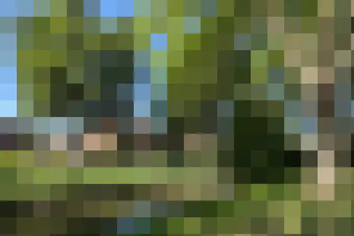 Heuvelhof 13 Waddinxveen thumbnail 43