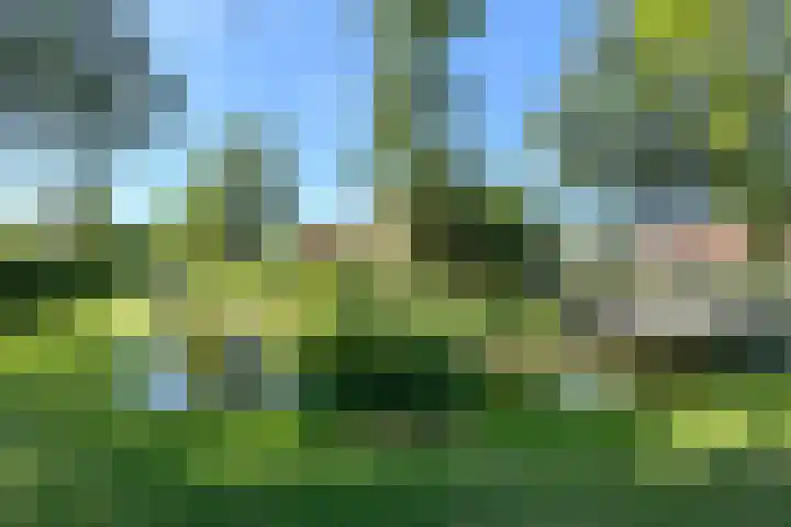 Heuvelhof 13 Waddinxveen thumbnail 44