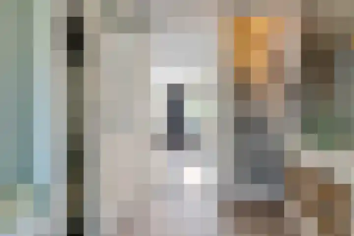 Heuvelhof 13 Waddinxveen thumbnail 8