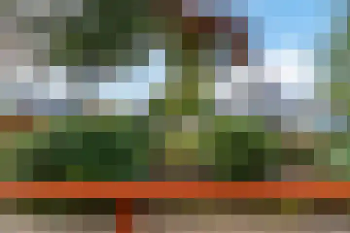 Heuvelhof 17 Nistelrode thumbnail 23