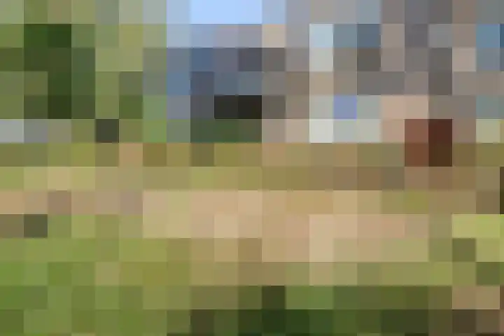 Heuvelhof 17 Nistelrode thumbnail 24