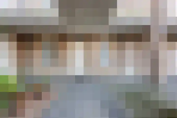 Heuvelhof 17 Nistelrode thumbnail 29