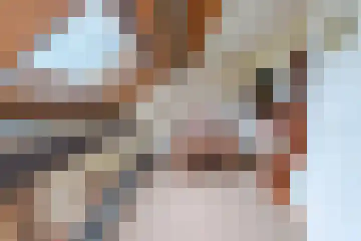 Heuvelhof 27 Waddinxveen thumbnail 29