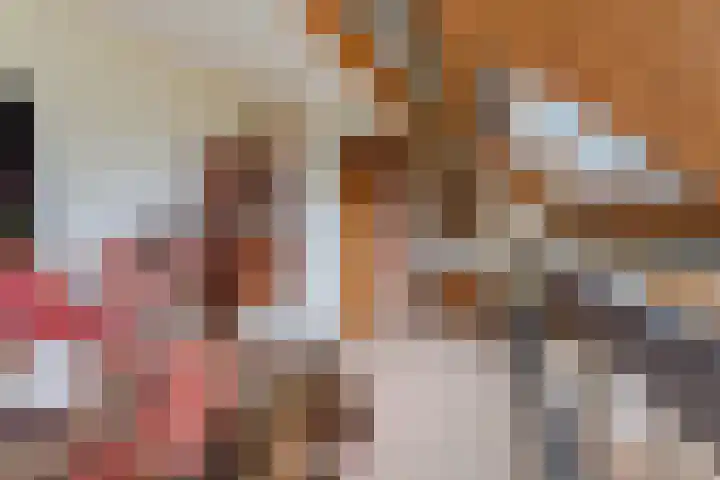 Heuvelhof 27 Waddinxveen thumbnail 31