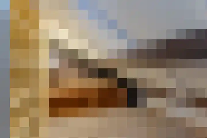 Heuvelhof 27 Waddinxveen thumbnail 35