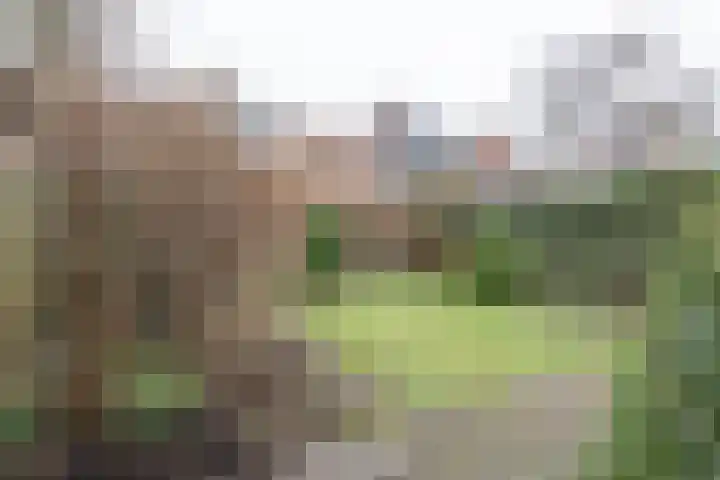 Heuvelhof 27 Waddinxveen thumbnail 7