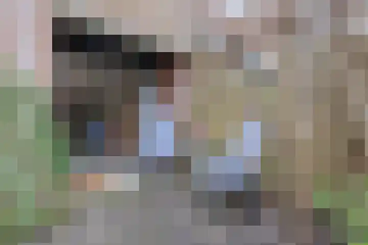 Heuvelhof 27 Waddinxveen thumbnail 9