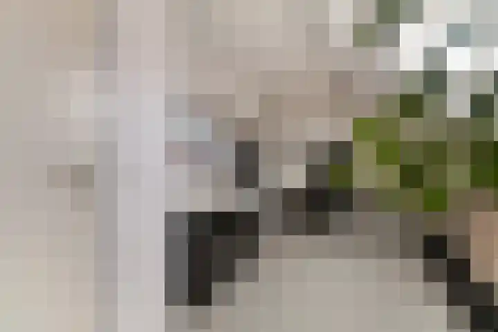 Heuvelhof 30 Waddinxveen thumbnail 18