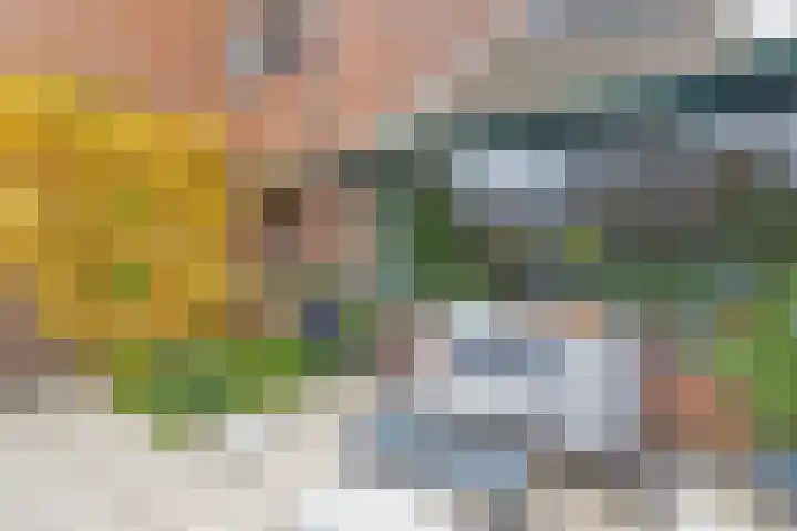 Heuvelhof 30 Waddinxveen thumbnail 27