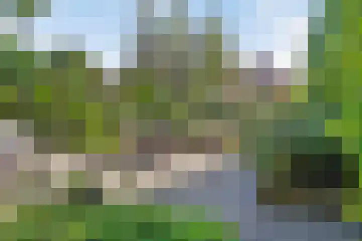 Heuvelhof 30 Waddinxveen thumbnail 28