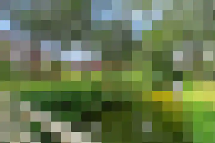 Heuvelhof 30 Waddinxveen thumbnail 30