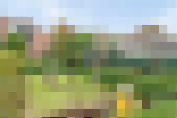 Heuvelhof 30 Waddinxveen thumbnail 31