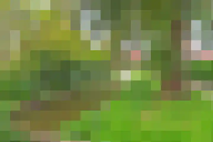 Heuvelhof 30 Waddinxveen thumbnail 32