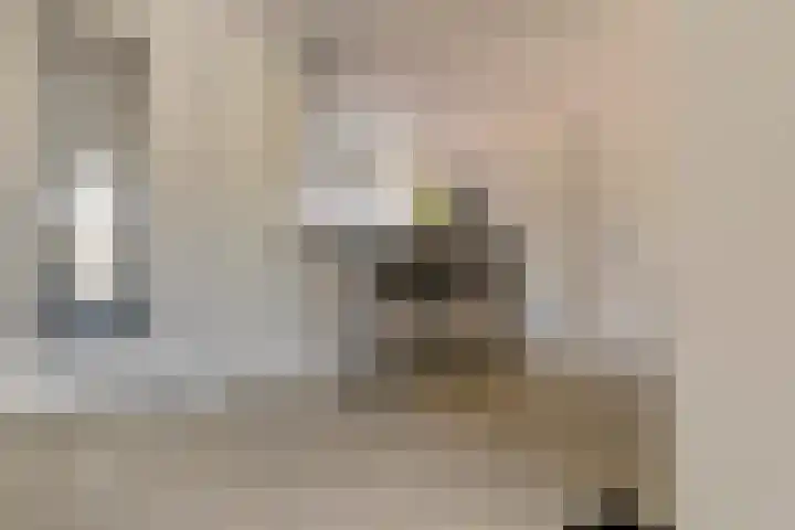 Heuvelhof 30 Waddinxveen thumbnail 6