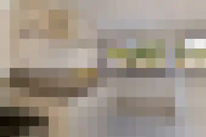 Heuvelhof 30 Waddinxveen thumbnail 7