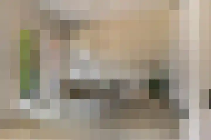 Heuvelhof 30 Waddinxveen thumbnail 9