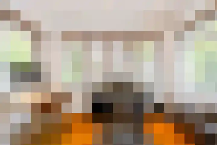 Heuvellaan 1 Hilversum thumbnail 14