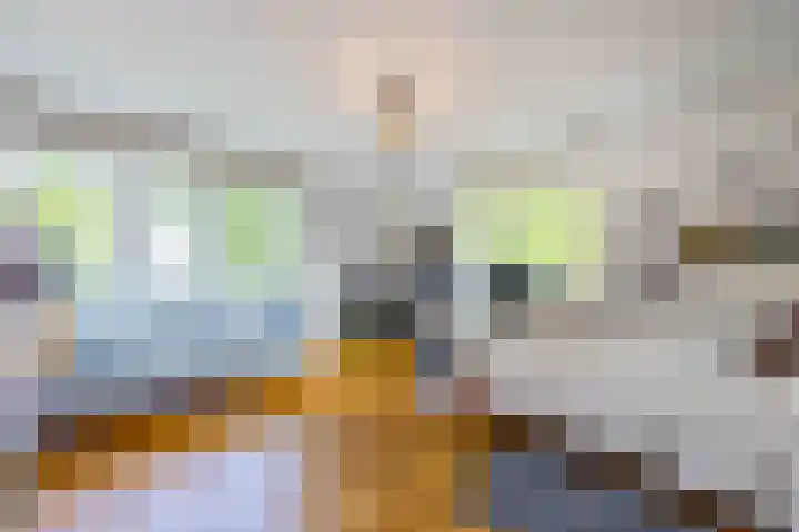 Heuvellaan 1 Hilversum thumbnail 37