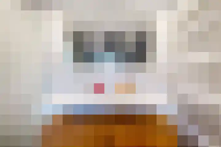 Heuvellaan 1 Hilversum thumbnail 41