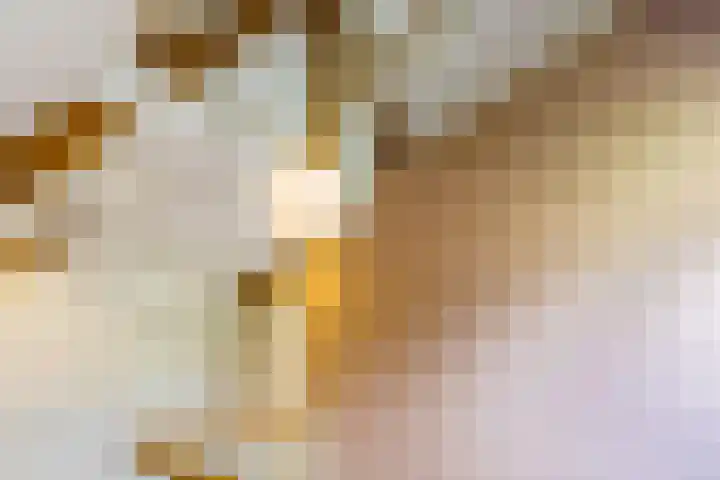 Heuvellaan 1 Hilversum thumbnail 43