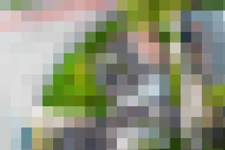 Heuvellaan 1 Hilversum thumbnail 58
