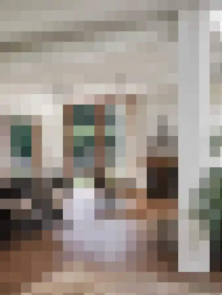 Heuvellaan 1 Wapenveld thumbnail 12