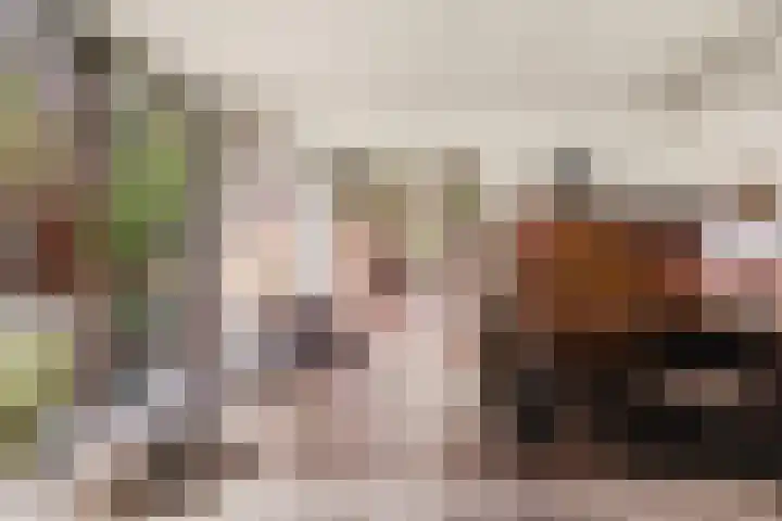 Heuvellaan 1 Wapenveld thumbnail 13