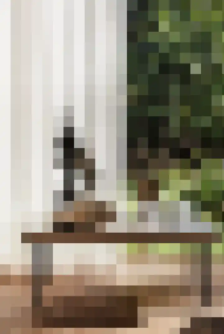 Heuvellaan 1 Wapenveld thumbnail 15